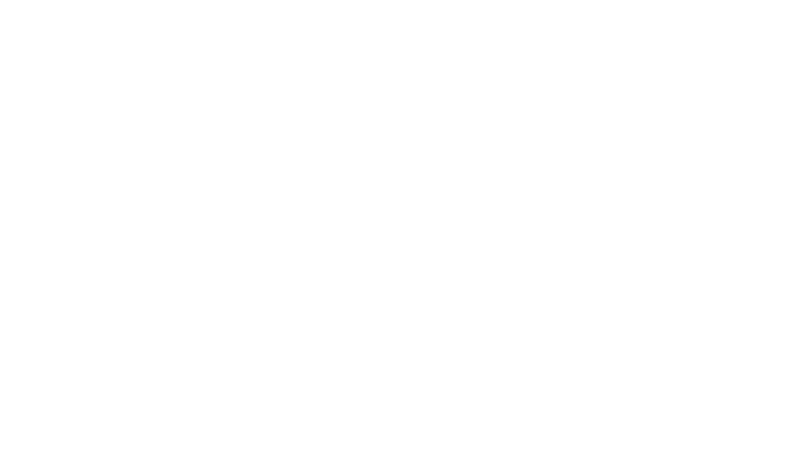 JCI TOYP